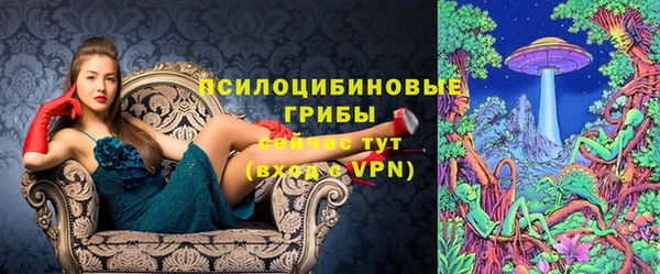 дживик Лагань