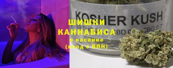 спиды Ладушкин