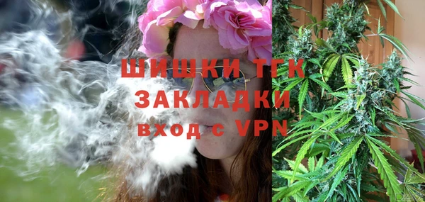 спиды Ладушкин