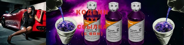дживик Лагань