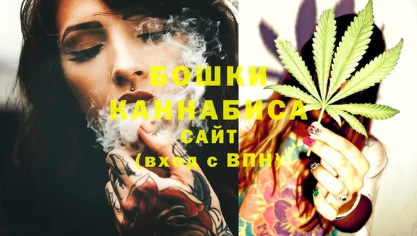 спиды Ладушкин