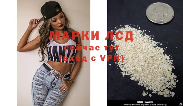 дживик Лагань
