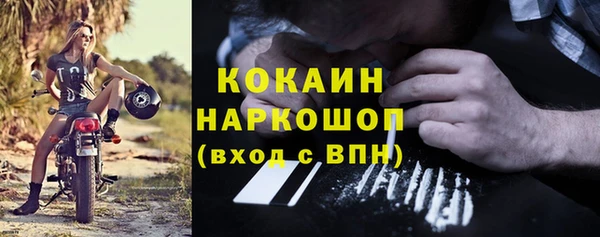 дживик Лагань